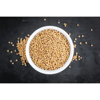  Organic  Yellow Mustard Seed